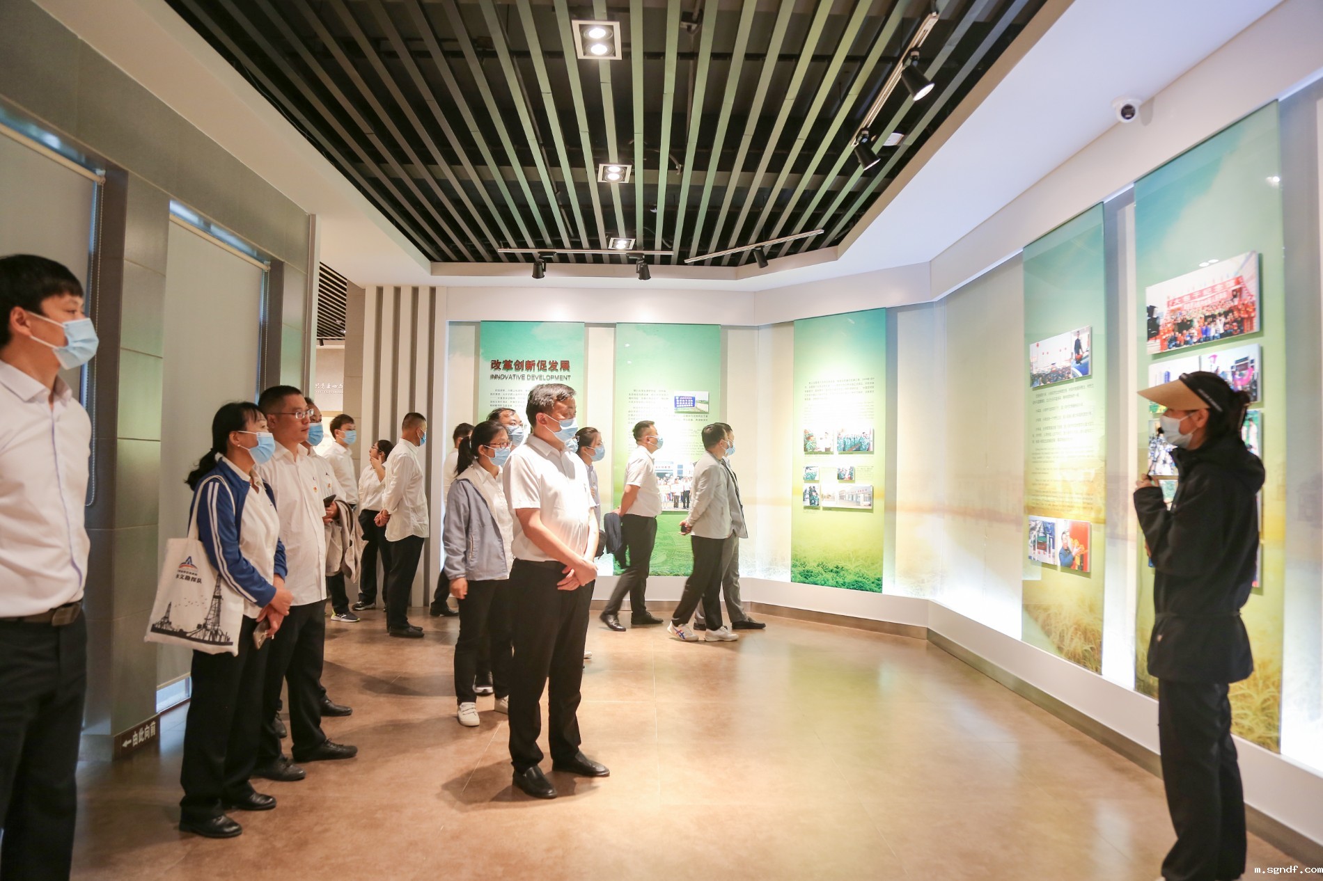 IMG_8704.jpg IMG_8704.jpg