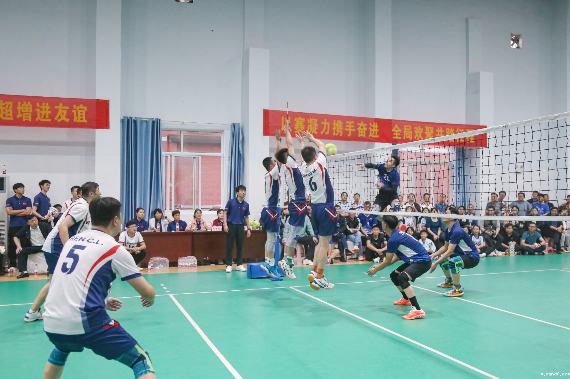 IMG_8288.jpg IMG_8288.jpg