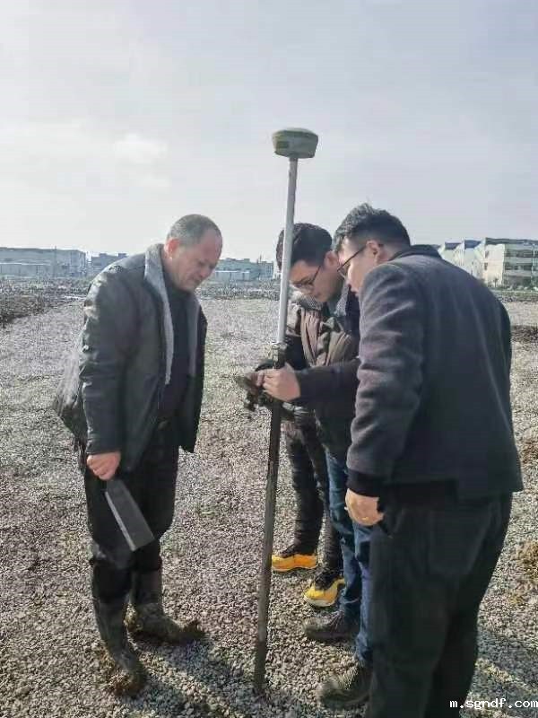 196416.jpg 196416.jpg