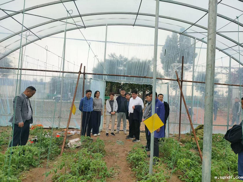 66465465 - 副本.png