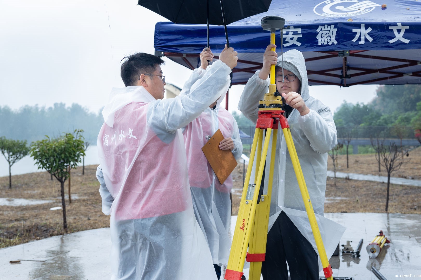 19959459.jpg 19959459.jpg