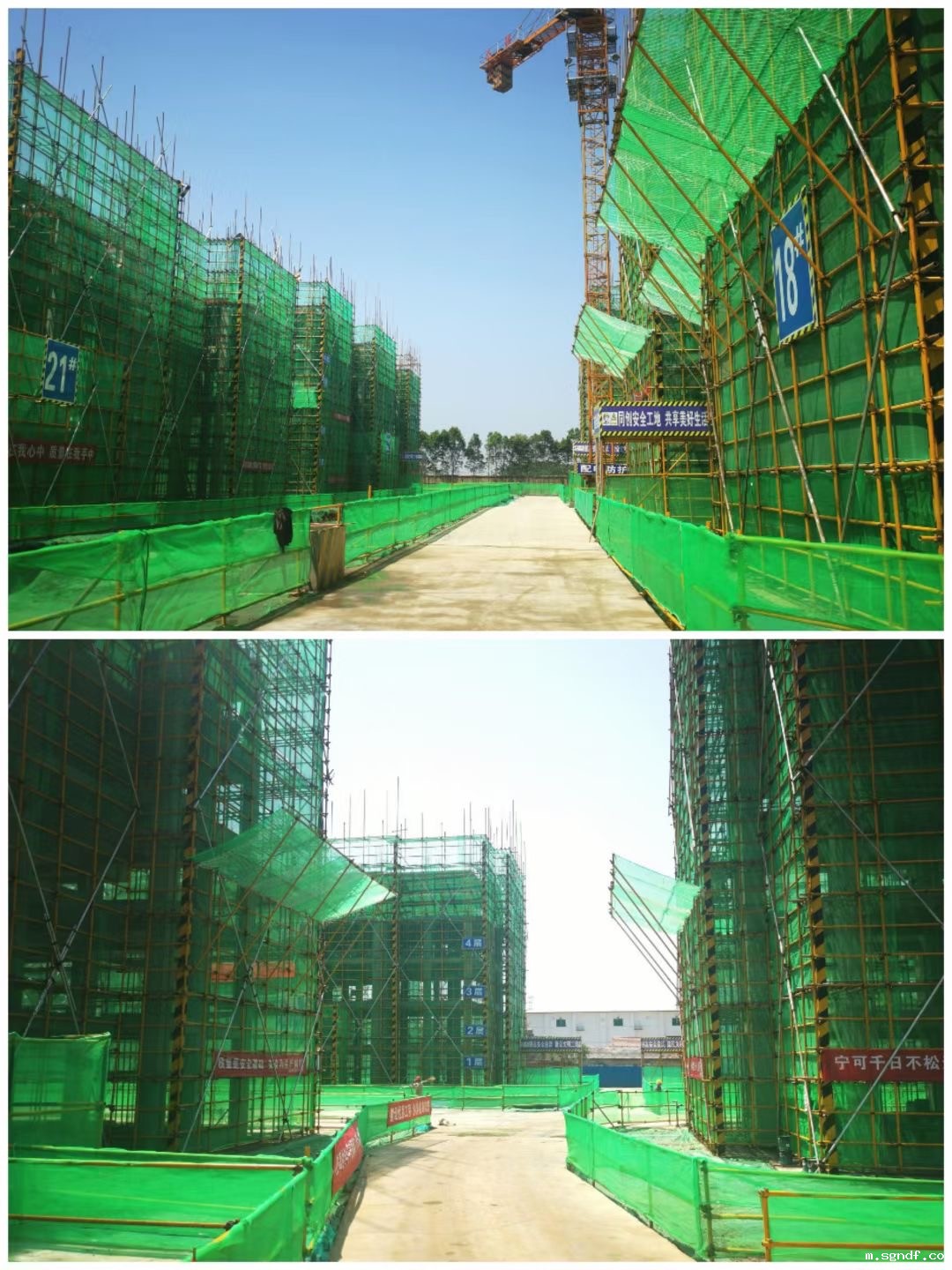 IMG_6046(20220510-165729).JPG IMG_6046(20220510-165729).JPG